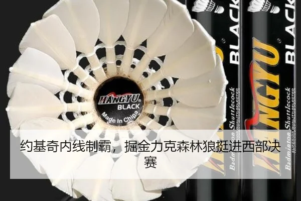 约基奇内线制霸，掘金力克森林狼挺进西部决赛