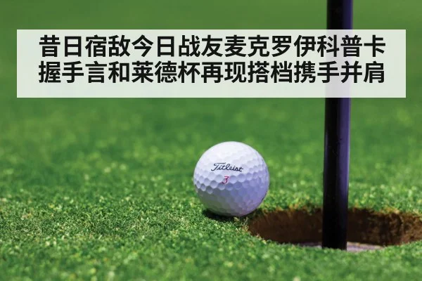 昔日宿敌今日战友麦克罗伊科普卡握手言和莱德杯再现搭档携手并肩